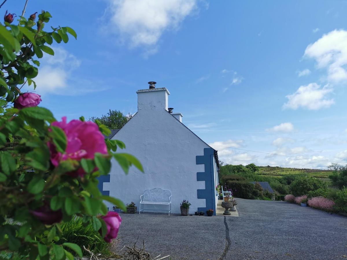 New Listing - Ladybird Cottage - Donegal - Wild Atlantic Way Donegal Town Exteriör bild